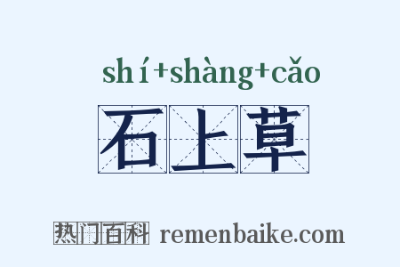 石上草是什么意思的图片